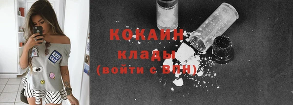 прущие грибы Абинск