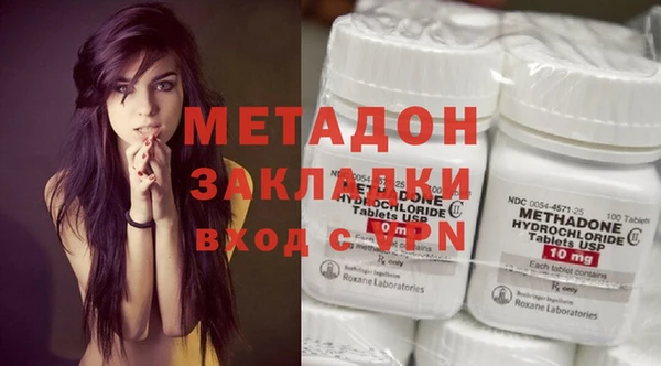 прущие грибы Абинск