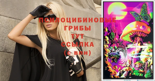 прущие грибы Абдулино