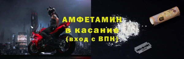 прущие грибы Абинск