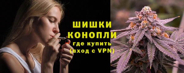 прущие грибы Абинск